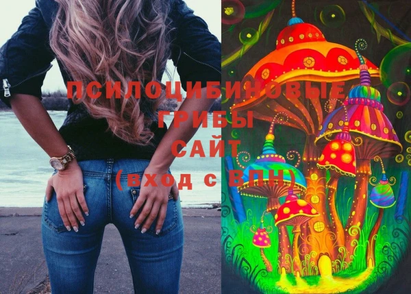 бутират Алзамай