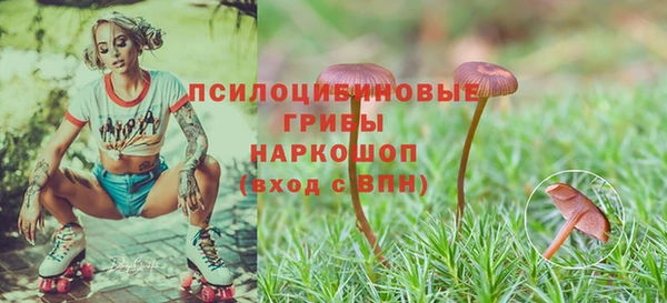 ALPHA PVP Алексеевка