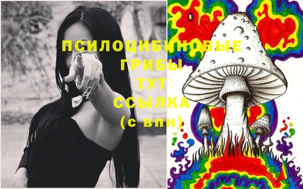 соль ск Алексин